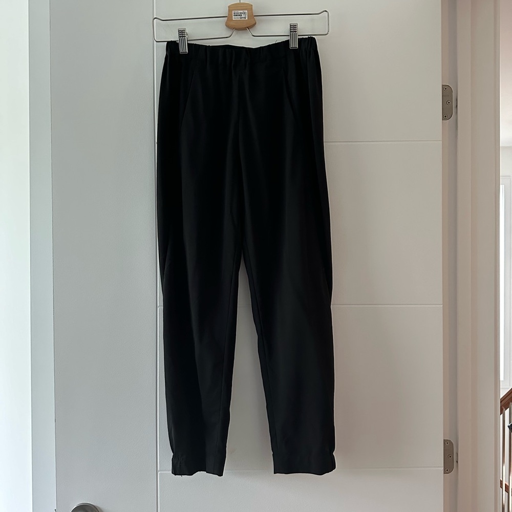 Aritzia Wilfred Dexter Pant